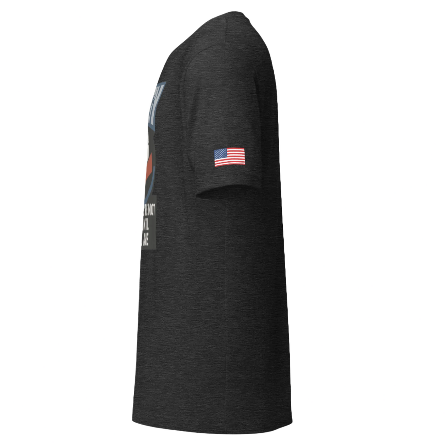 Heather Grey tee with red & blue hands shaking over globe, AWGY quote below
